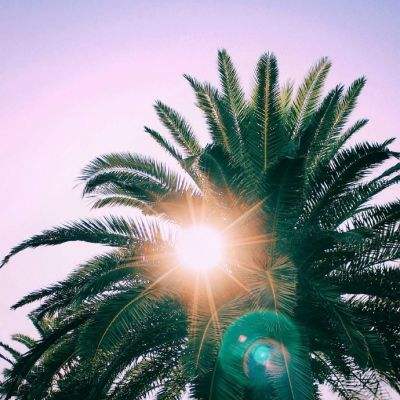 “去人化”的AI影视 你还会看吗