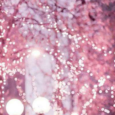 莫入“征信洗白”陷阱